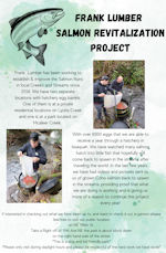 Frank Lumber Salmon Project Flyer