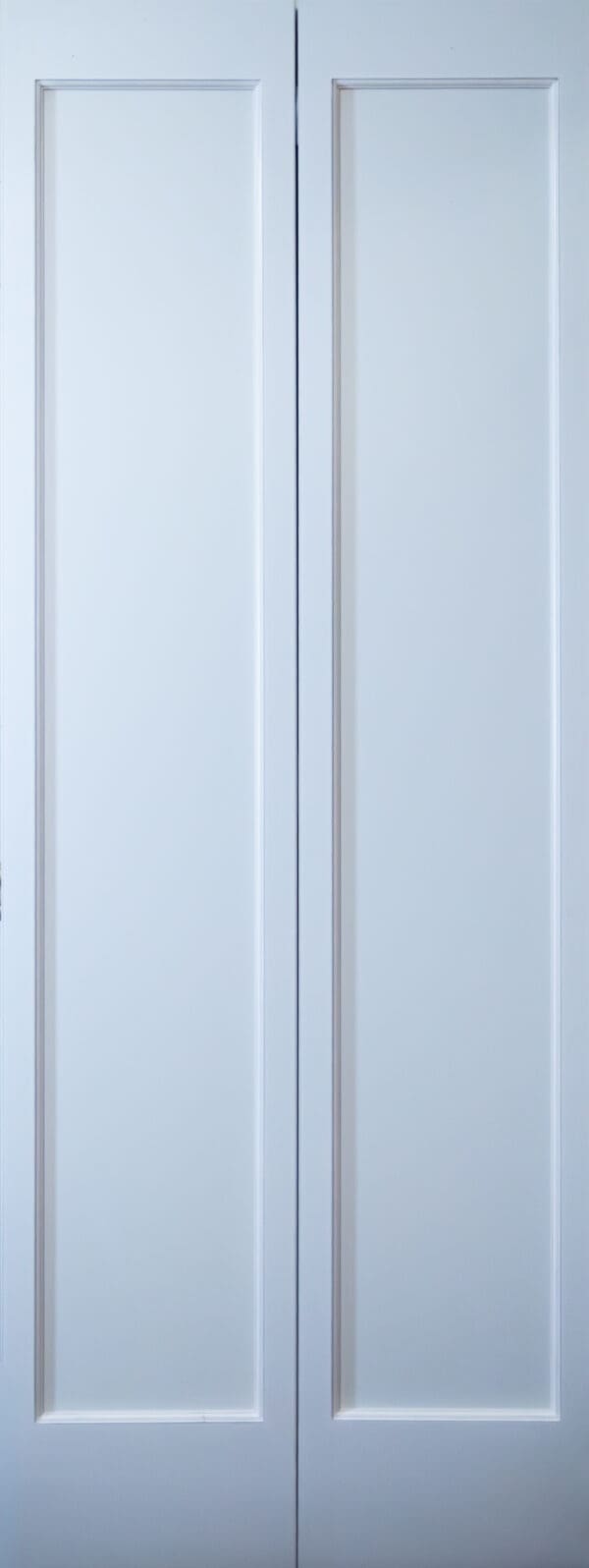 White double panel closet doors.